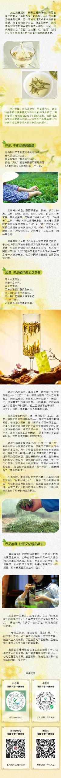 9149efe1f442004318bbea8c6d34a481_compress.jpg